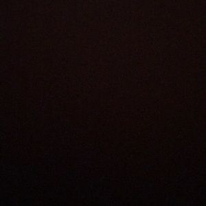 Meet your Posher, Abbey